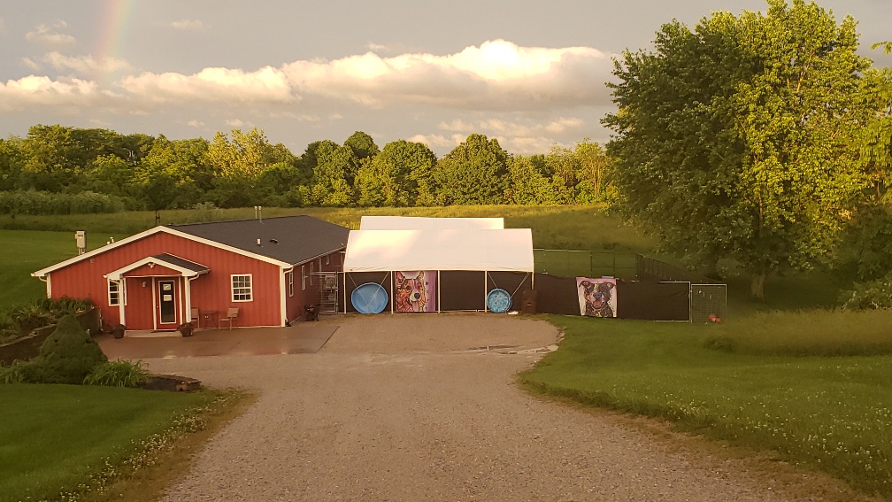 Red best sale barn kennels